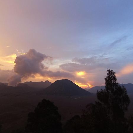 Bromo Holiday Guest House Ngadisari Eksteriør bilde